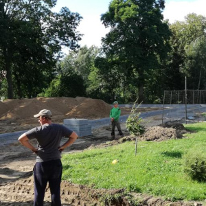 IMG_20170825_152846 (Copy)